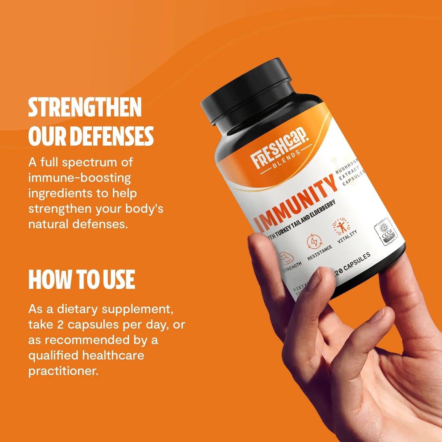 Full-spectrum immune defense in every capsule. A blend of Turkey Tail, Elderberry, Vitamin C and Zinc, and other essential vitamins for daily wellness.
