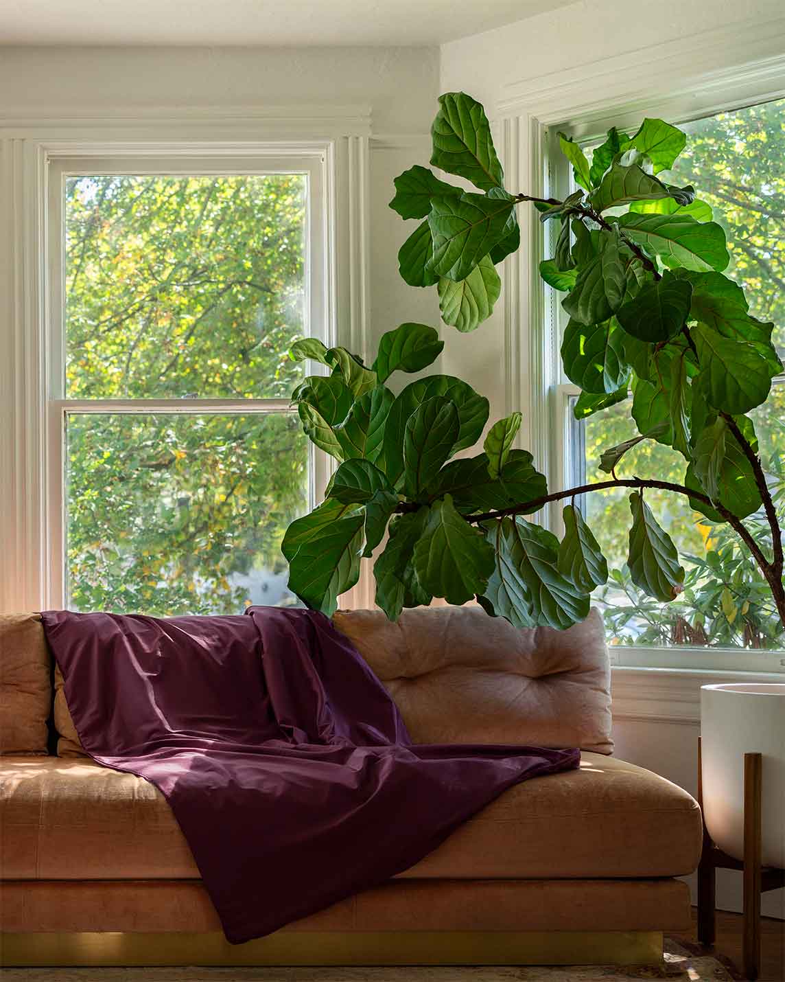 A perfect fit for our 12lb Weighted Throw or 15lb & 20lb Weighted Blankets (note, not the Comforters!) Our cool, easy-to-wash, cotton cover protects your Baloo with style and ease - without adding heat!