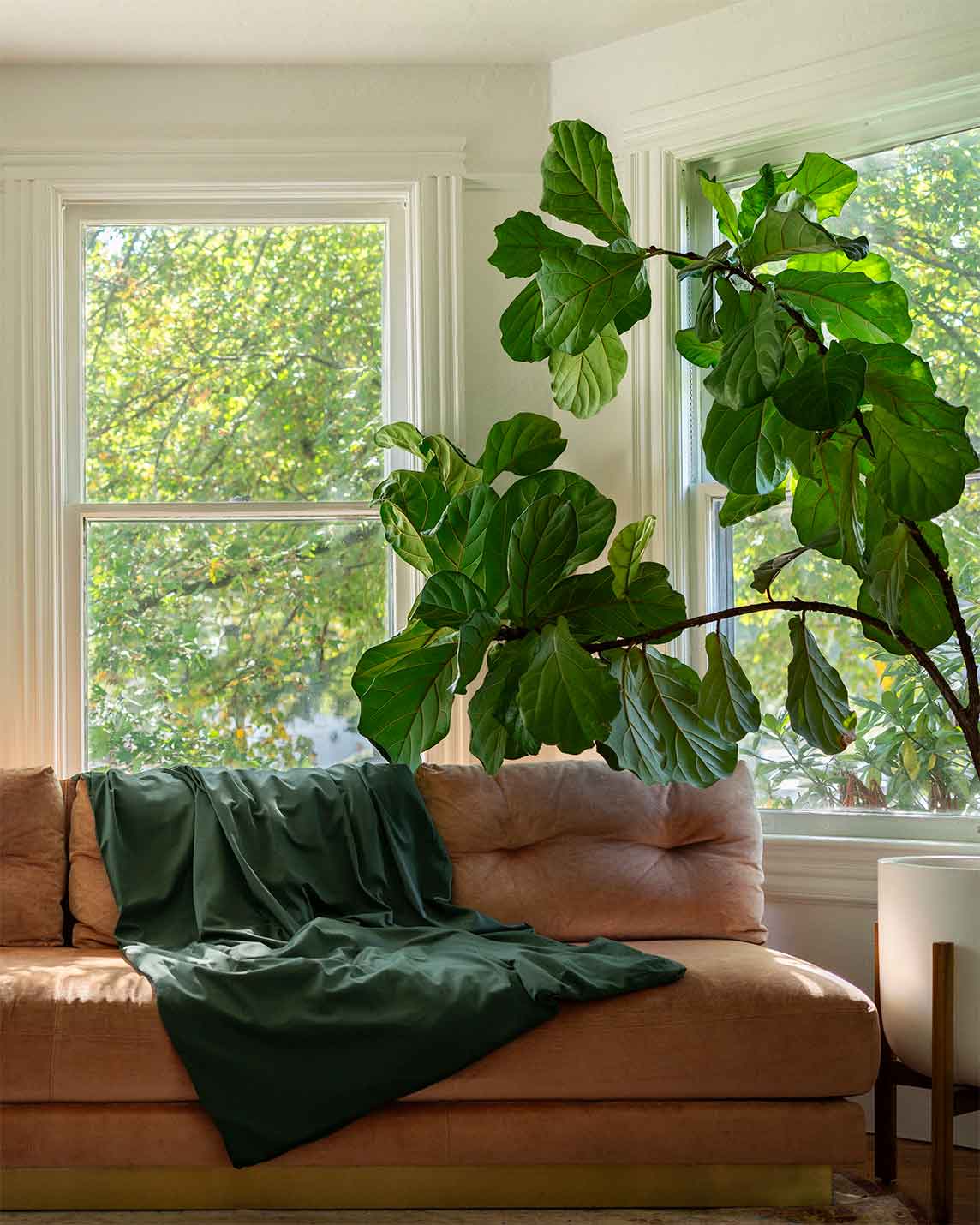 A perfect fit for our 12lb Weighted Throw or 15lb & 20lb Weighted Blankets (note, not the Comforters!) Our cool, easy-to-wash, cotton cover protects your Baloo with style and ease - without adding heat!