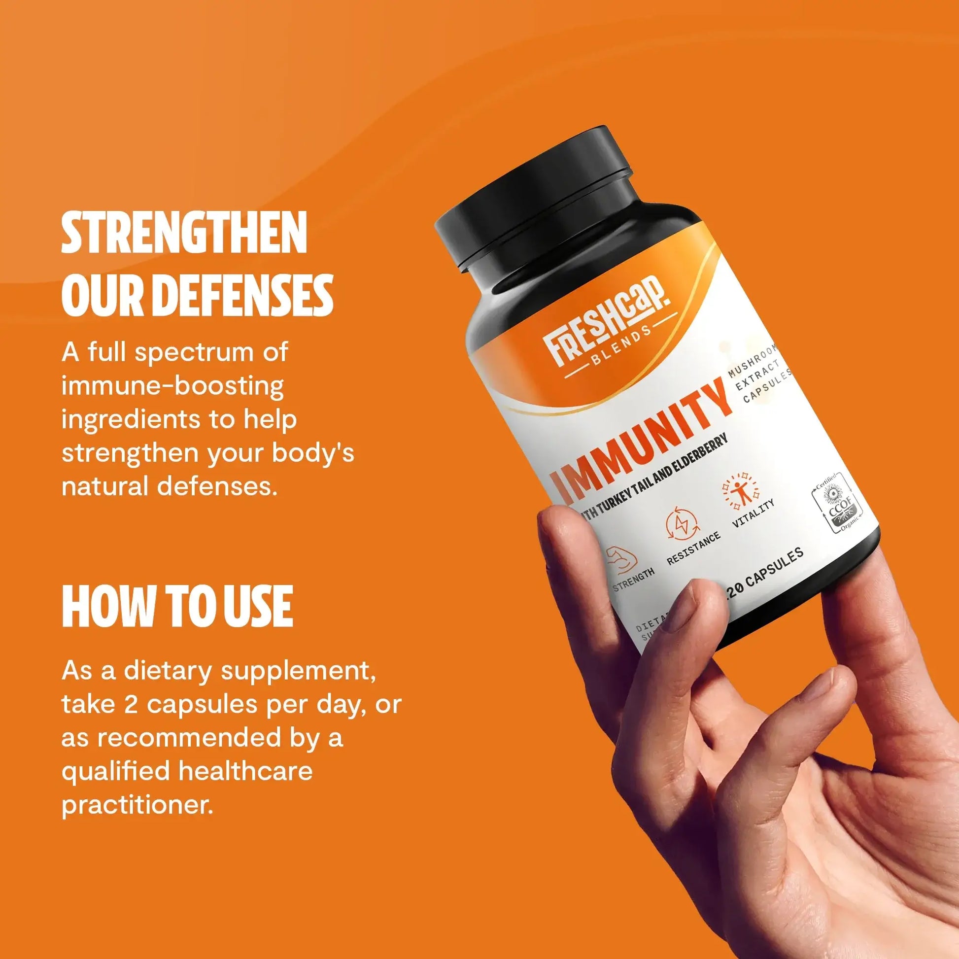 Full-spectrum immune defense in every capsule. A blend of Turkey Tail, Elderberry, Vitamin C and Zinc, and other essential vitamins for daily wellness.