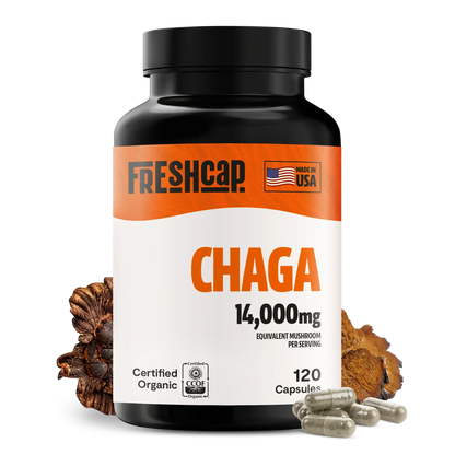 Premium Chaga mushrooms capsules for immune and antioxidant support. Dual-extracted for maximum potency, delivering 14,000mg raw mushroom power for comprehensive wellness.