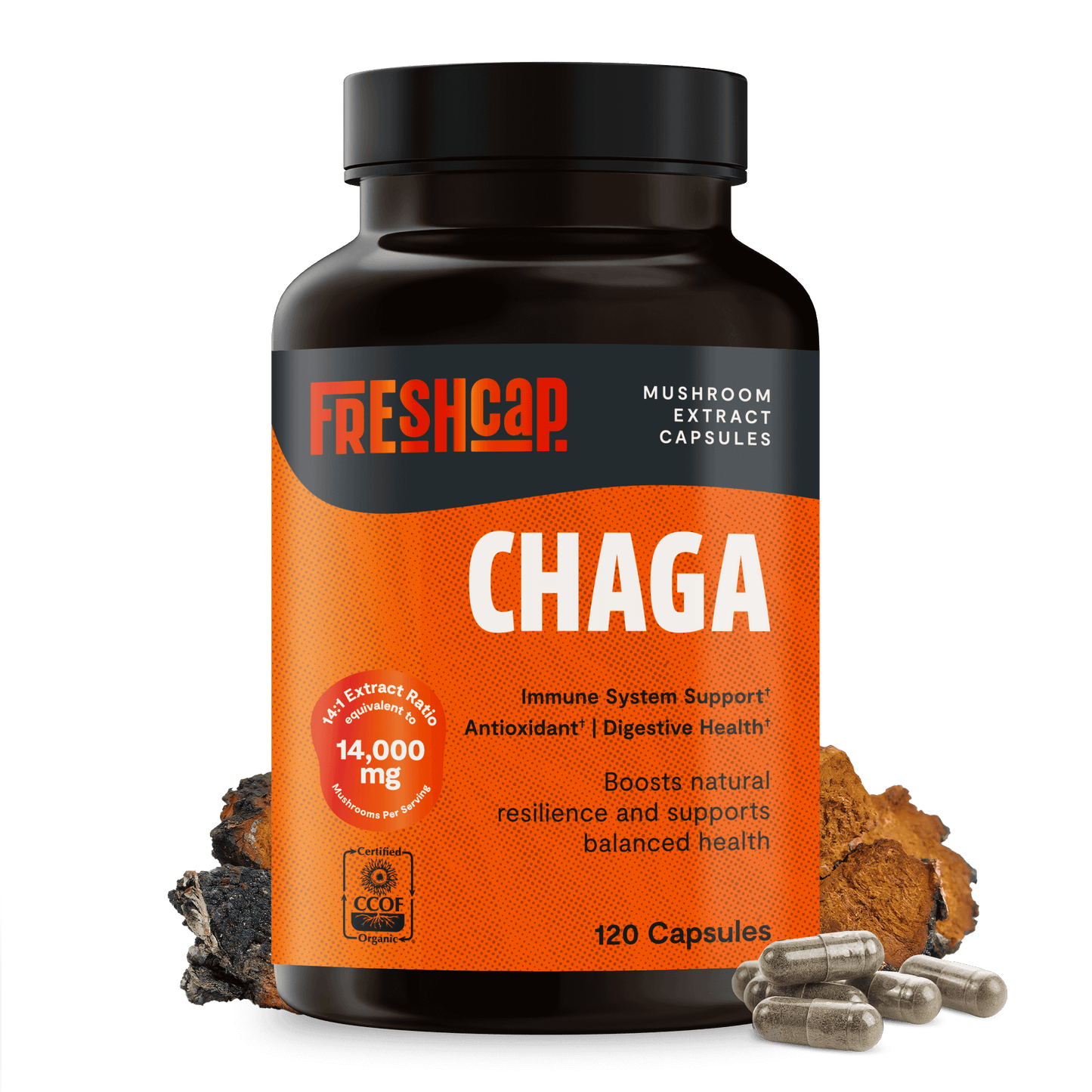 Premium Chaga mushrooms capsules for immune and antioxidant support. Dual-extracted for maximum potency, delivering 14,000mg raw mushroom power for comprehensive wellness.