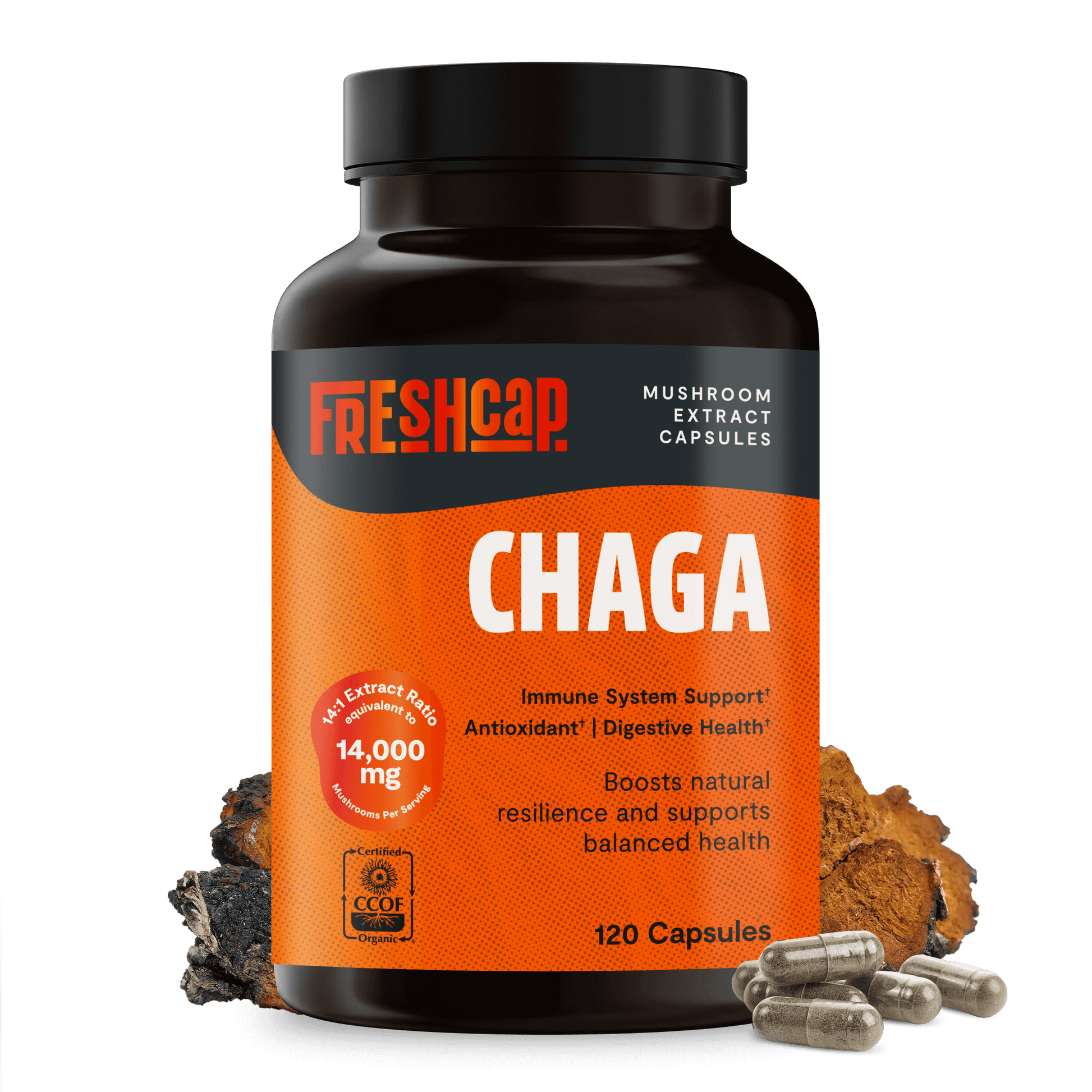 Premium Chaga mushrooms capsules for immune and antioxidant support. Dual-extracted for maximum potency, delivering 14,000mg raw mushroom power for comprehensive wellness.