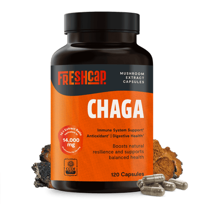 Premium Chaga mushrooms capsules for immune and antioxidant support. Dual-extracted for maximum potency, delivering 14,000mg raw mushroom power for comprehensive wellness.