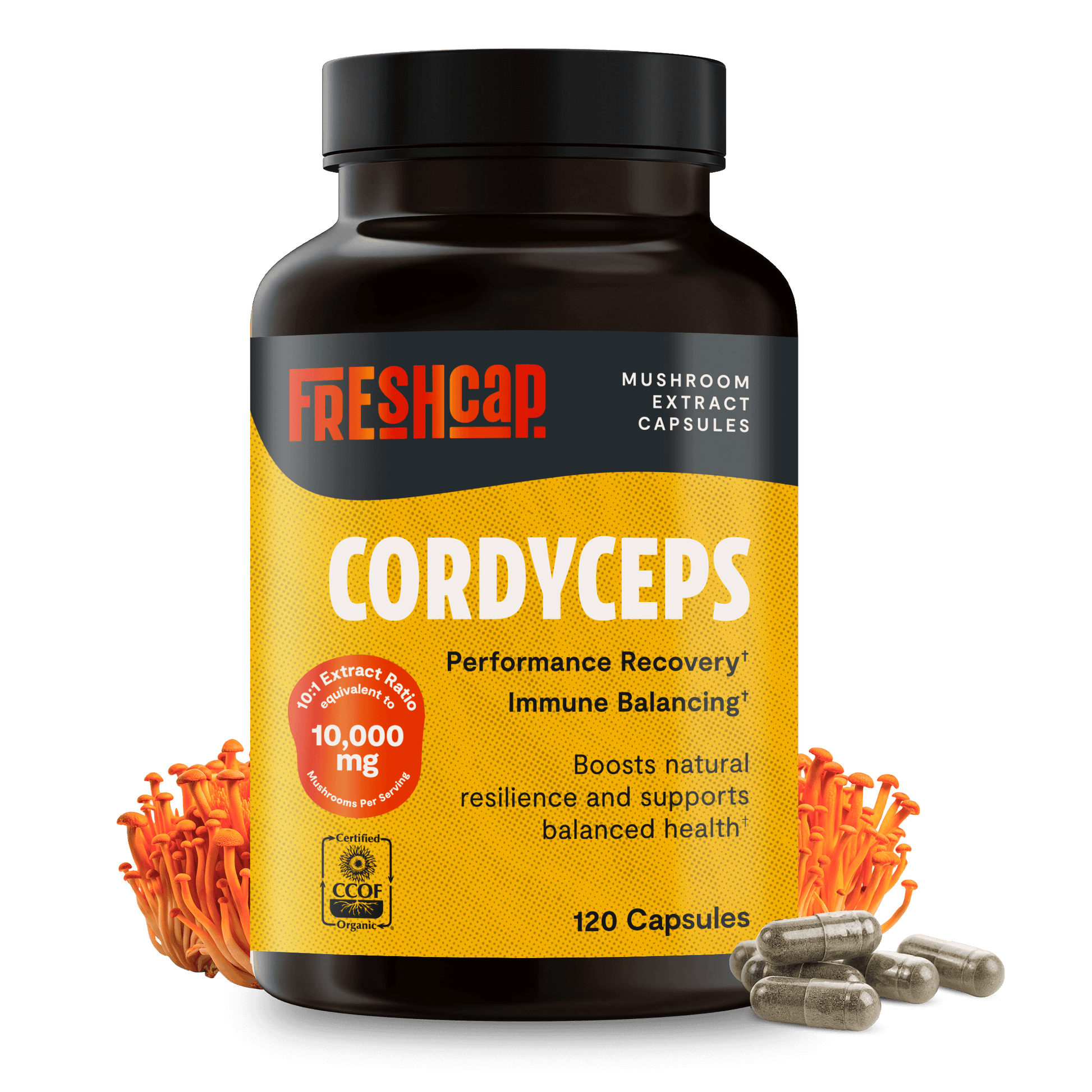 Premium Cordyceps mushroom capsules for natural energy and stamina. Water-extracted for maximum potency, delivering 10,000mg raw mushroom power to fuel your active lifestyle.