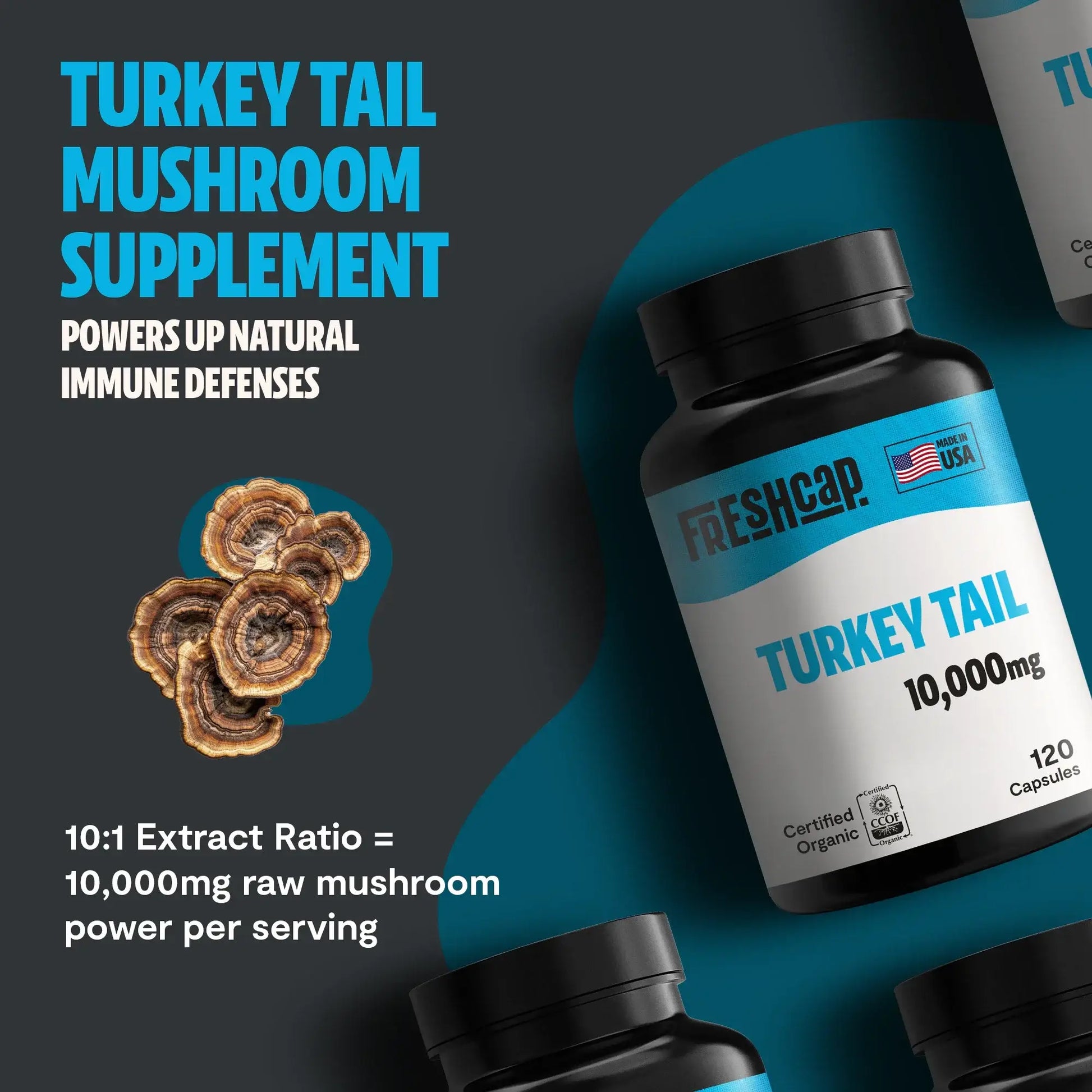 Premium turkey tail mushroom capsules for immune and digestive support. A powerful mushroom supplement extracted for maximum potency, delivering 10,000mg raw turkey tail per serving.