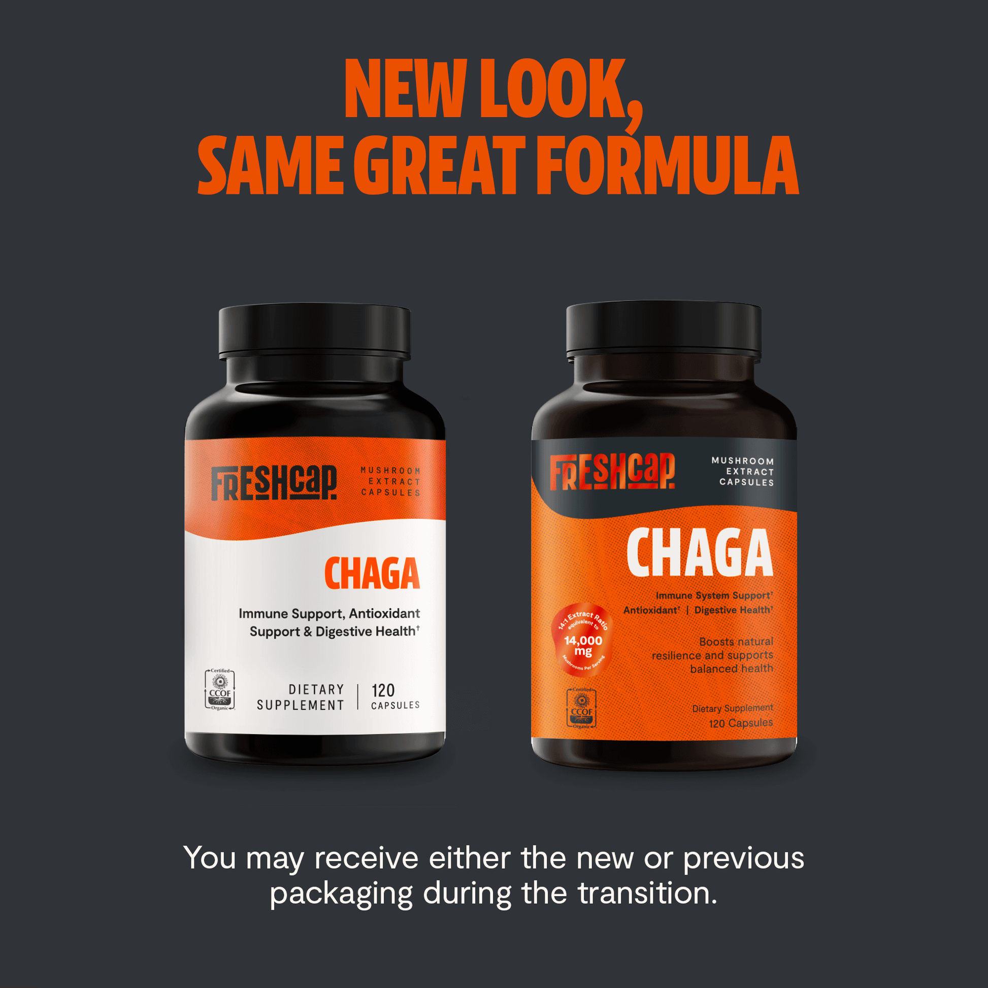 Premium Chaga mushrooms capsules for immune and antioxidant support. Dual-extracted for maximum potency, delivering 14,000mg raw mushroom power for comprehensive wellness.