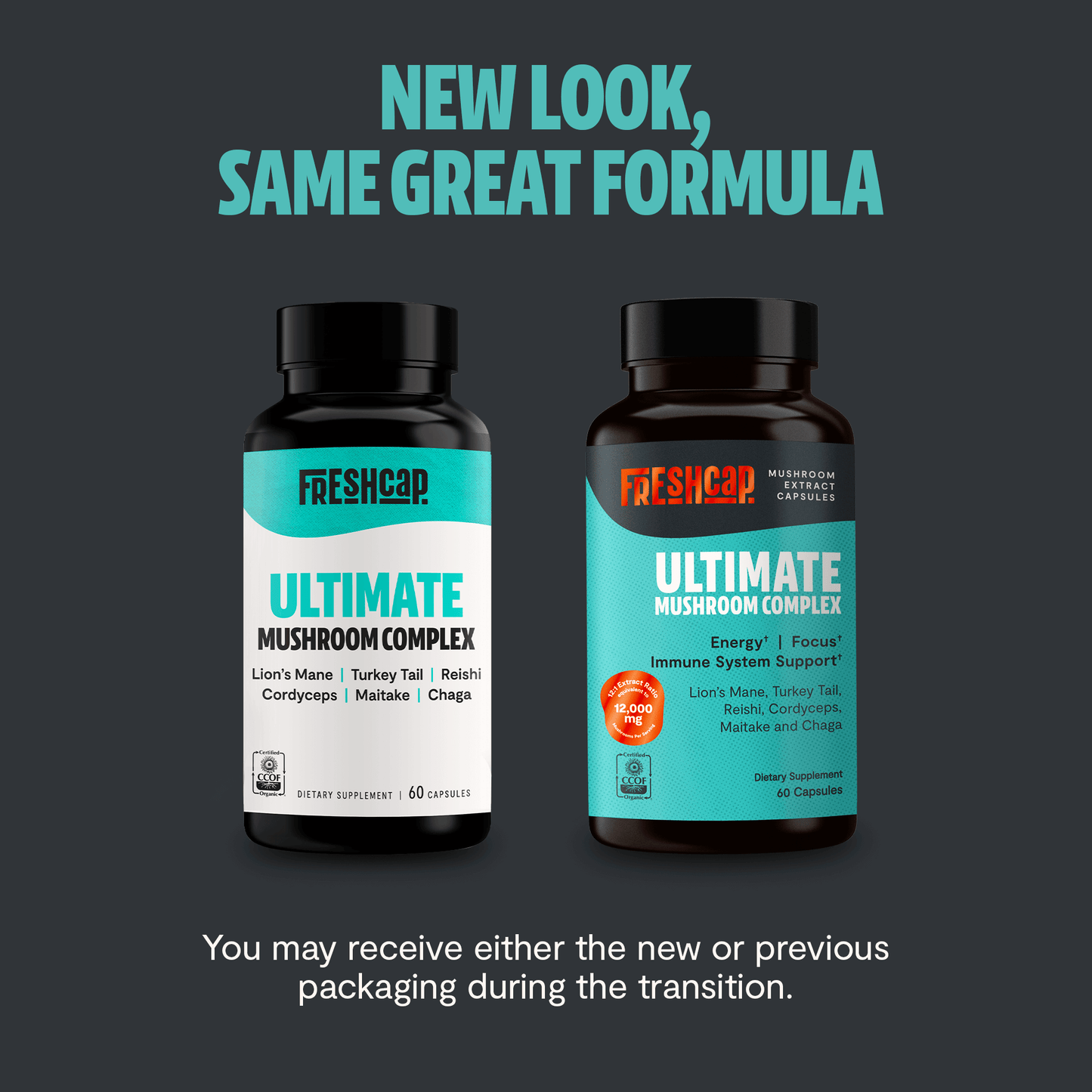 Premium blend of six powerful mushrooms for complete wellness. Quadruple-extracted mushroom supplement for maximum potency, delivering 12,000mg power for immunity, focus, and vitality.