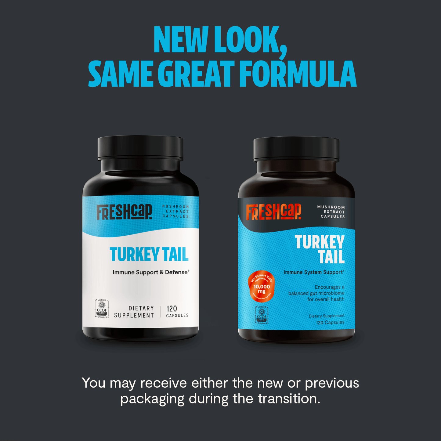 Premium turkey tail mushroom capsules for immune and digestive support. A powerful mushroom supplement extracted for maximum potency, delivering 10,000mg raw turkey tail per serving.