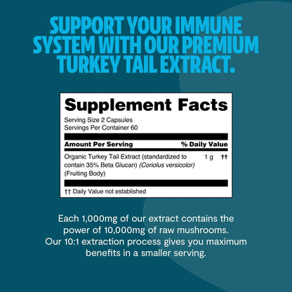 Premium turkey tail mushroom capsules for immune and digestive support. A powerful mushroom supplement extracted for maximum potency, delivering 10,000mg raw turkey tail per serving.