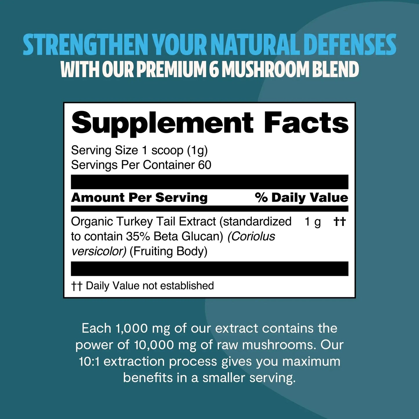 Premium Turkey Tail mushroom powder for immune and digestive support. Hot water extracted for maximum potency, delivering 10,000mg raw mushroom power in versatile powder form.