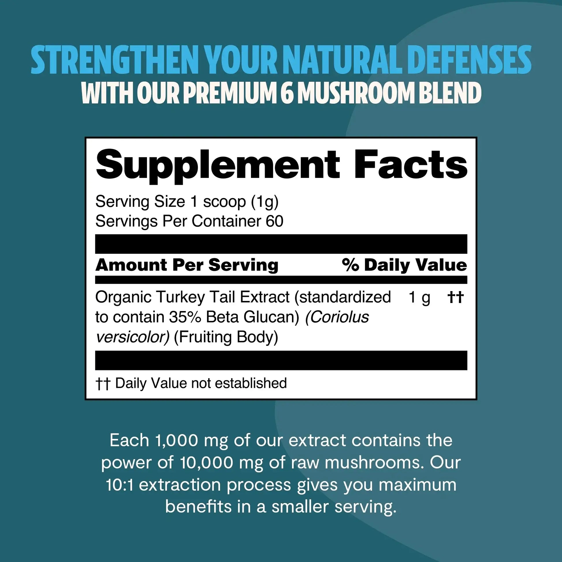 Premium Turkey Tail mushroom powder for immune and digestive support. Hot water extracted for maximum potency, delivering 10,000mg raw mushroom power in versatile powder form.
