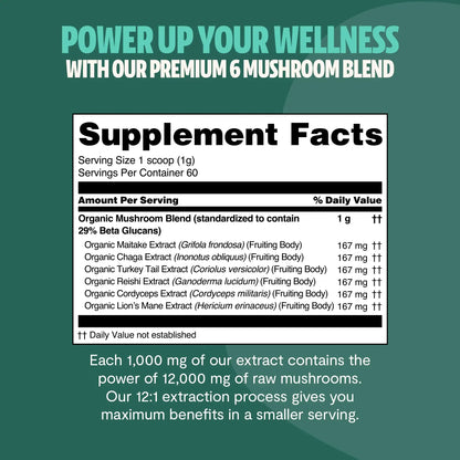 Premium mushroom blend featuring six powerful extracts for complete wellness. Our mushroom complex delivers 12,000mg raw mushroom power in versatile powder form.