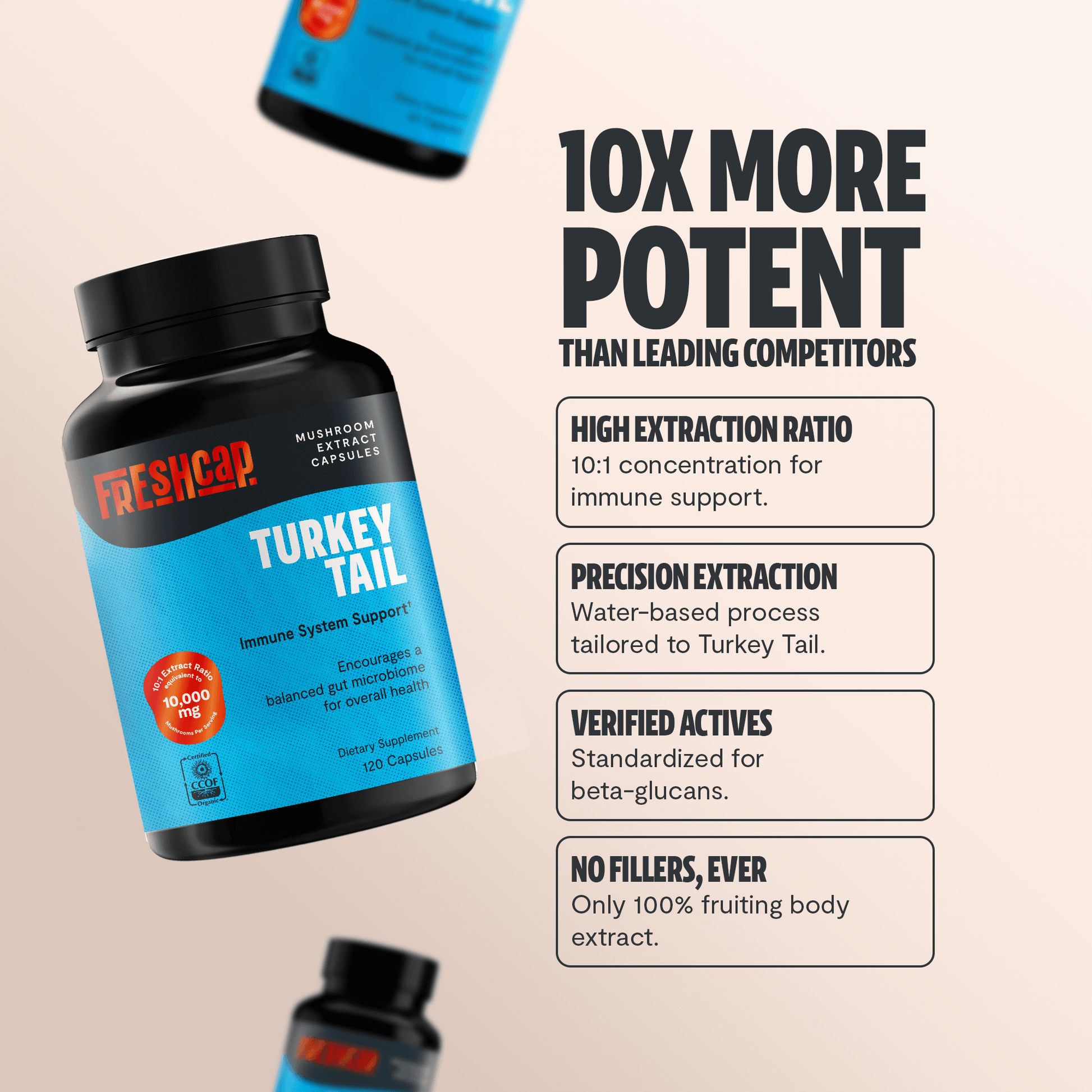 Premium turkey tail mushroom capsules for immune and digestive support. A powerful mushroom supplement extracted for maximum potency, delivering 10,000mg raw turkey tail per serving.
