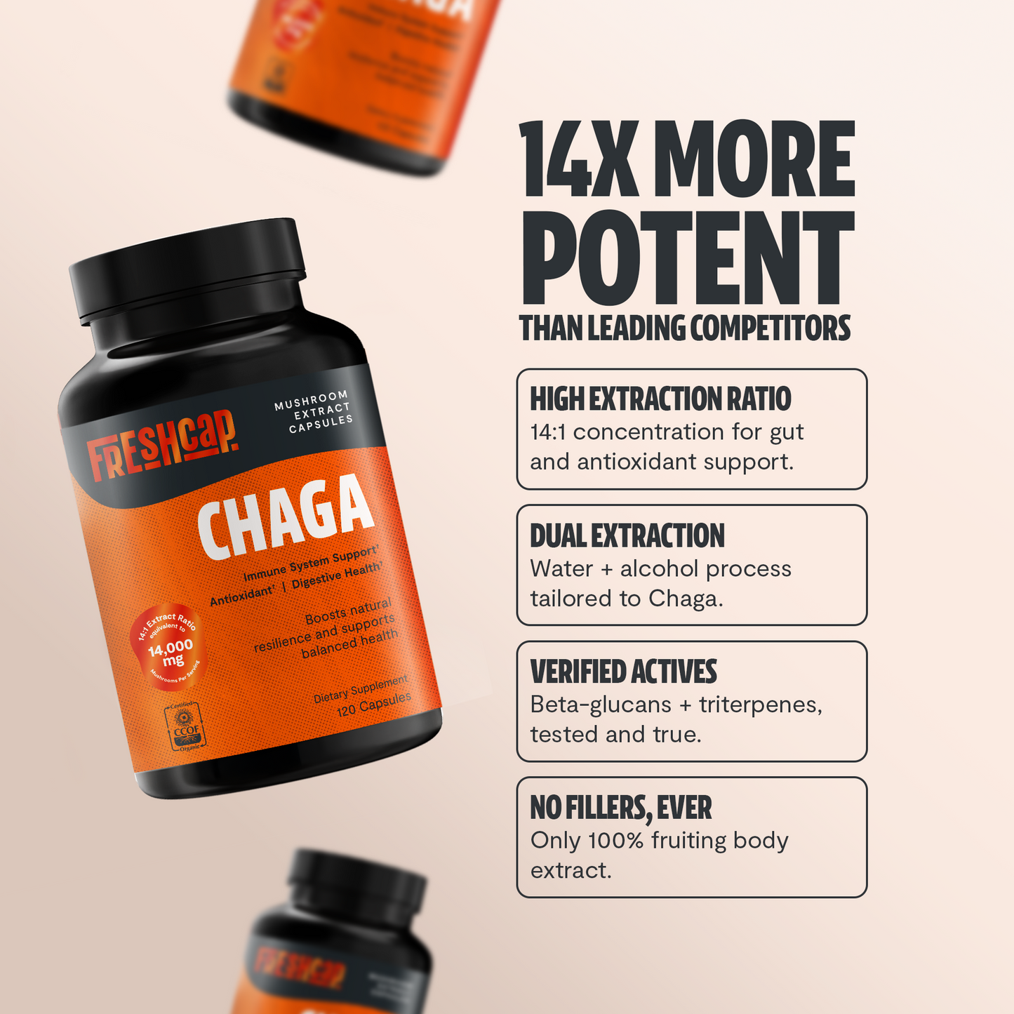 Premium Chaga mushrooms capsules for immune and antioxidant support. Dual-extracted for maximum potency, delivering 14,000mg raw mushroom power for comprehensive wellness.