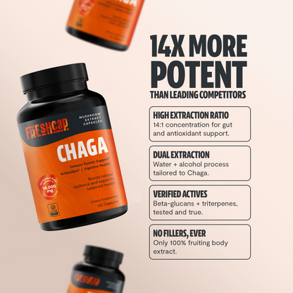 Premium Chaga mushrooms capsules for immune and antioxidant support. Dual-extracted for maximum potency, delivering 14,000mg raw mushroom power for comprehensive wellness.