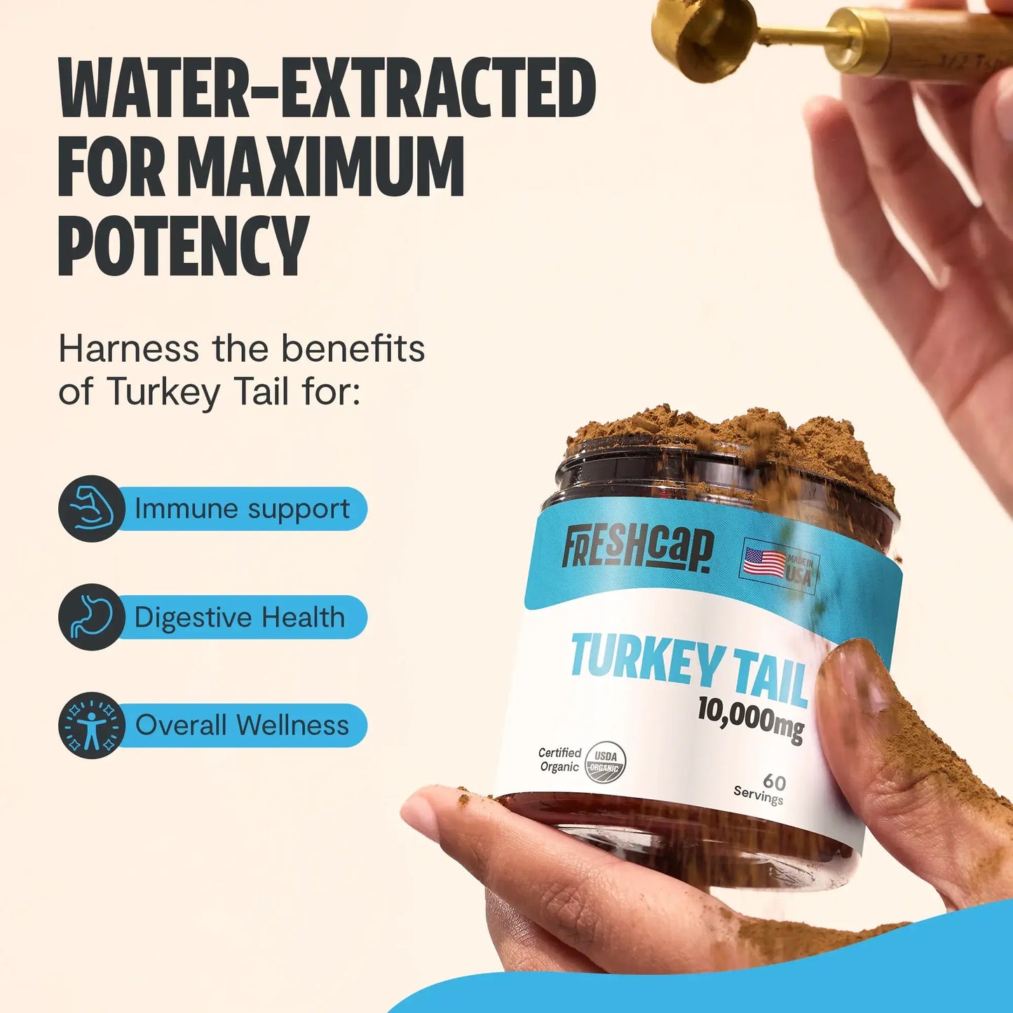 Premium Turkey Tail mushroom powder for immune and digestive support. Hot water extracted for maximum potency, delivering 10,000mg raw mushroom power in versatile powder form.