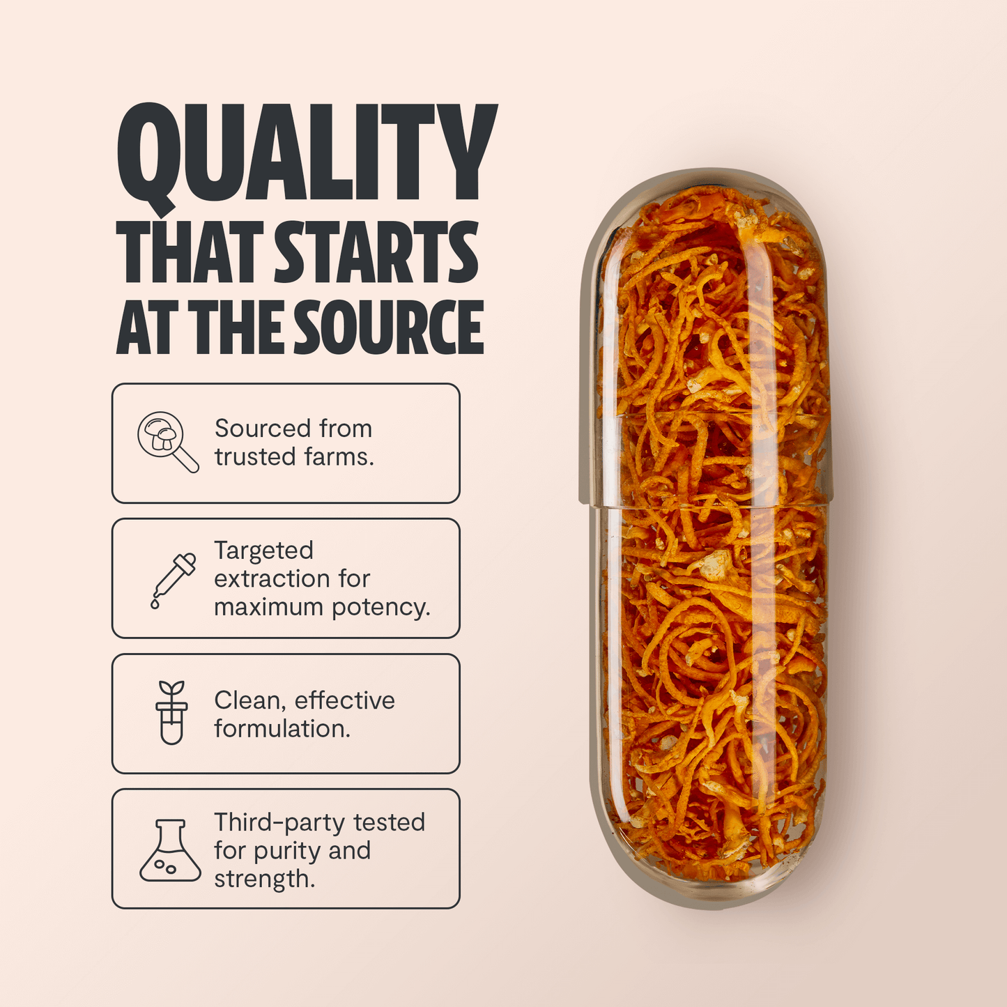 Premium Cordyceps mushroom capsules for natural energy and stamina. Water-extracted for maximum potency, delivering 10,000mg raw mushroom power to fuel your active lifestyle.