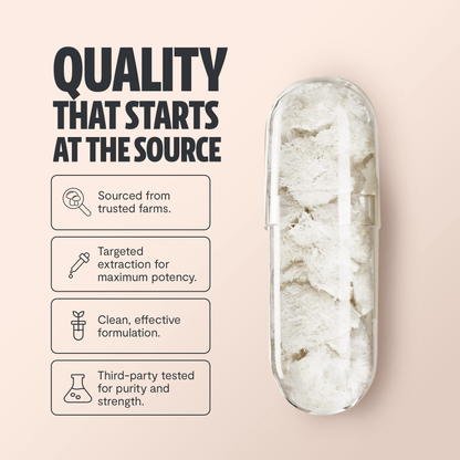 Premium Lion's Mane mushroom supplement for mental clarity and cognitive function. Triple-extracted for maximum potency, delivering 14,000mg raw mushroom power in convenient capsules.