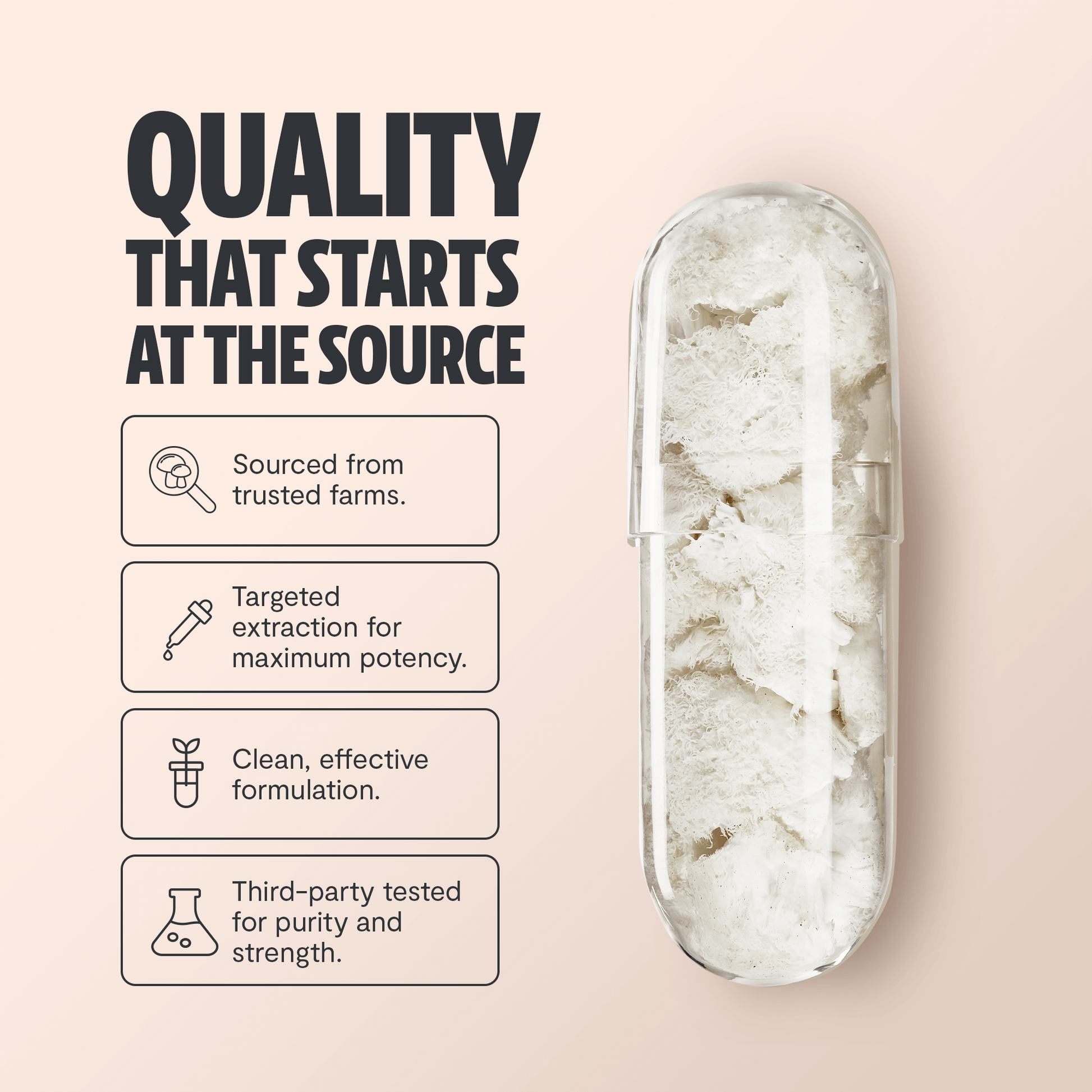 Premium Lion's Mane mushroom supplement for mental clarity and cognitive function. Triple-extracted for maximum potency, delivering 14,000mg raw mushroom power in convenient capsules.