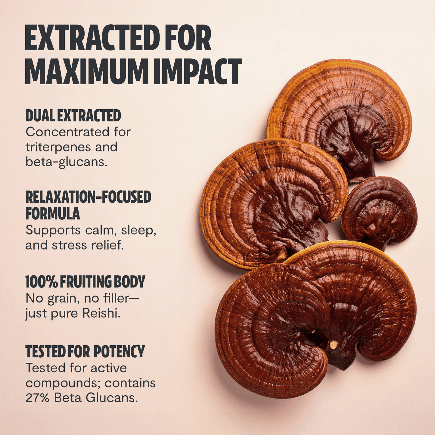 Premium Reishi mushroom powder for relaxation and balanced wellness. Dual-extracted for maximum potency, delivering 14,000mg raw mushroom power in versatile powder form.