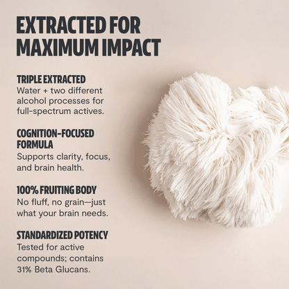 Premium Lion's Mane mushroom supplement for mental clarity and cognitive function. Triple-extracted for maximum potency, delivering 14,000mg raw mushroom power in convenient capsules.