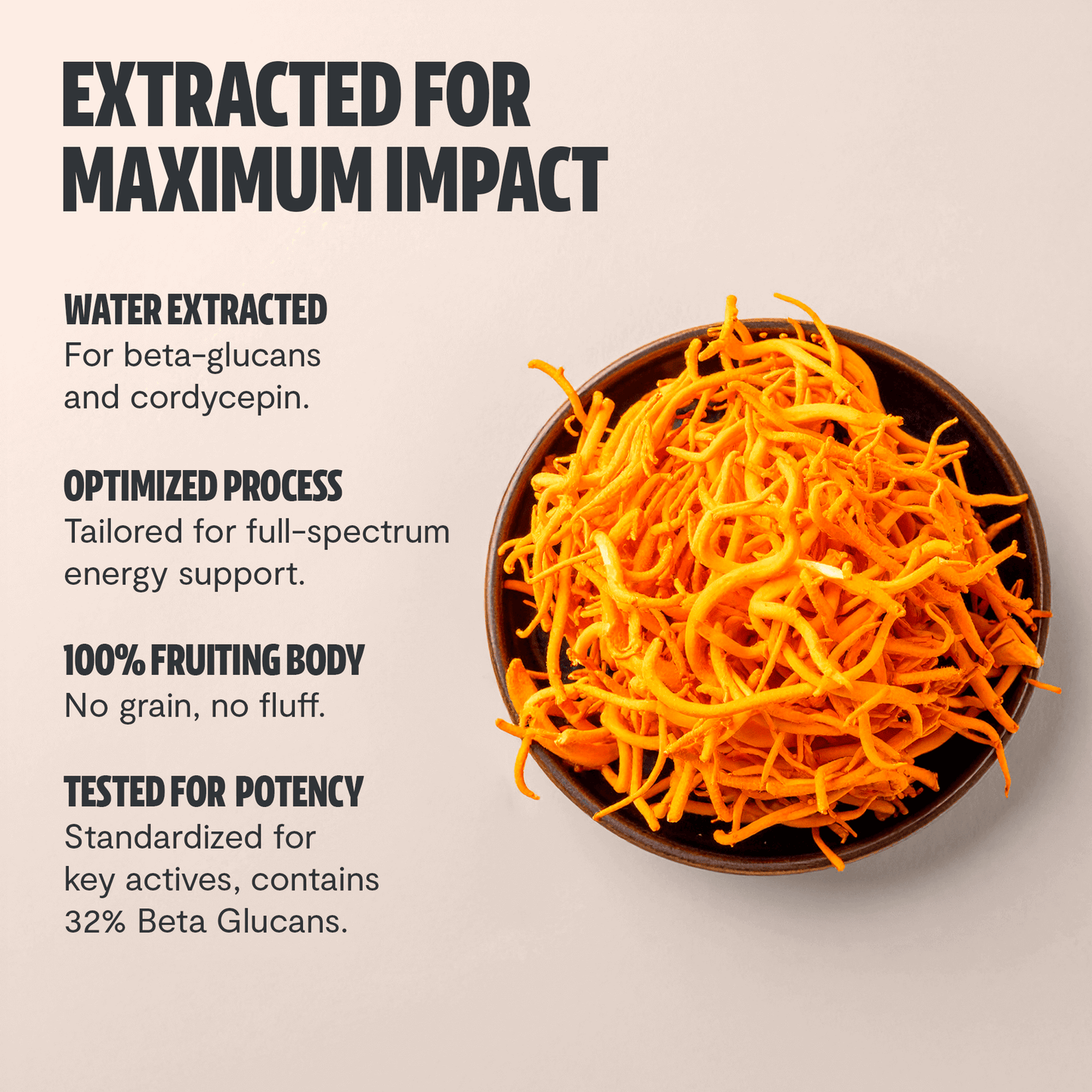 Premium Cordyceps mushroom powder for natural energy and athletic performance. Water-extracted for maximum potency, delivering 10,000mg raw mushroom power in versatile powder form.