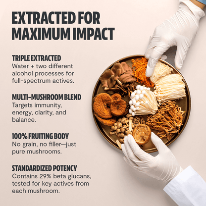 Premium blend of six powerful mushrooms for complete wellness. Quadruple-extracted mushroom supplement for maximum potency, delivering 12,000mg power for immunity, focus, and vitality.