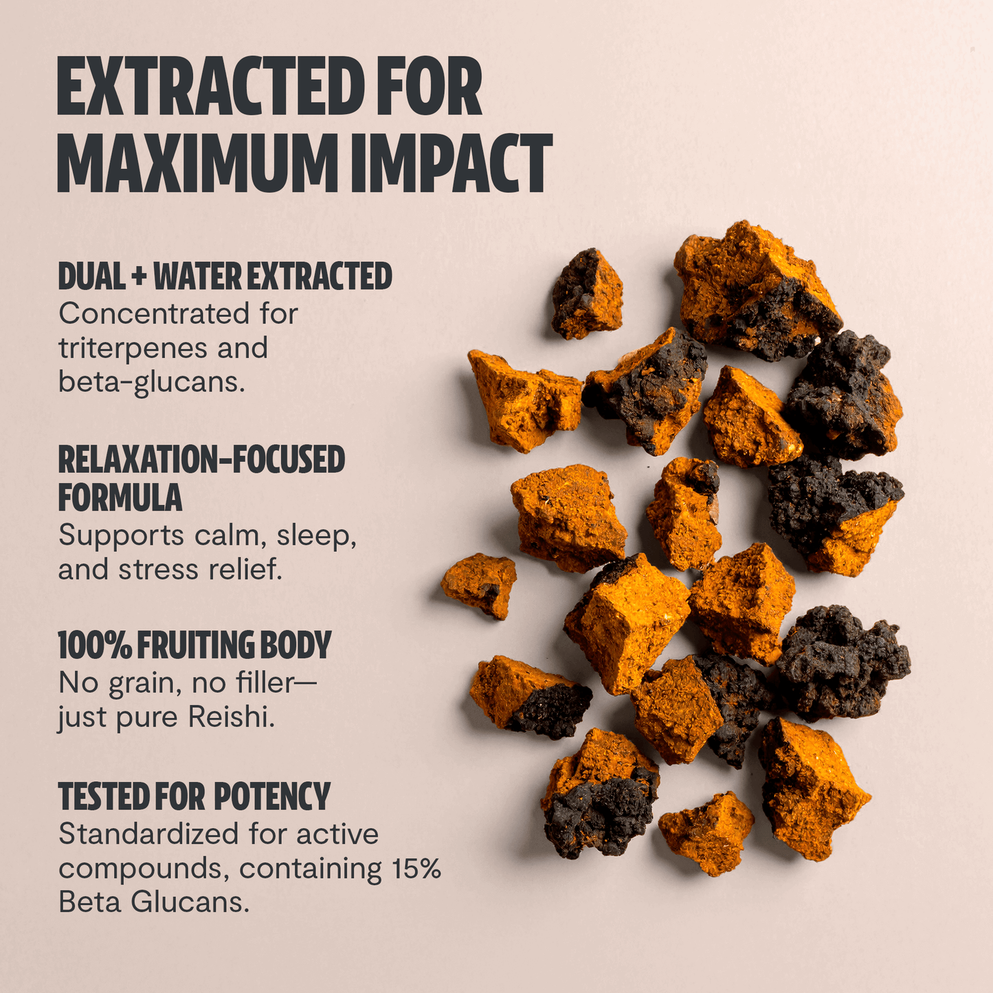 Premium Chaga mushrooms capsules for immune and antioxidant support. Dual-extracted for maximum potency, delivering 14,000mg raw mushroom power for comprehensive wellness.