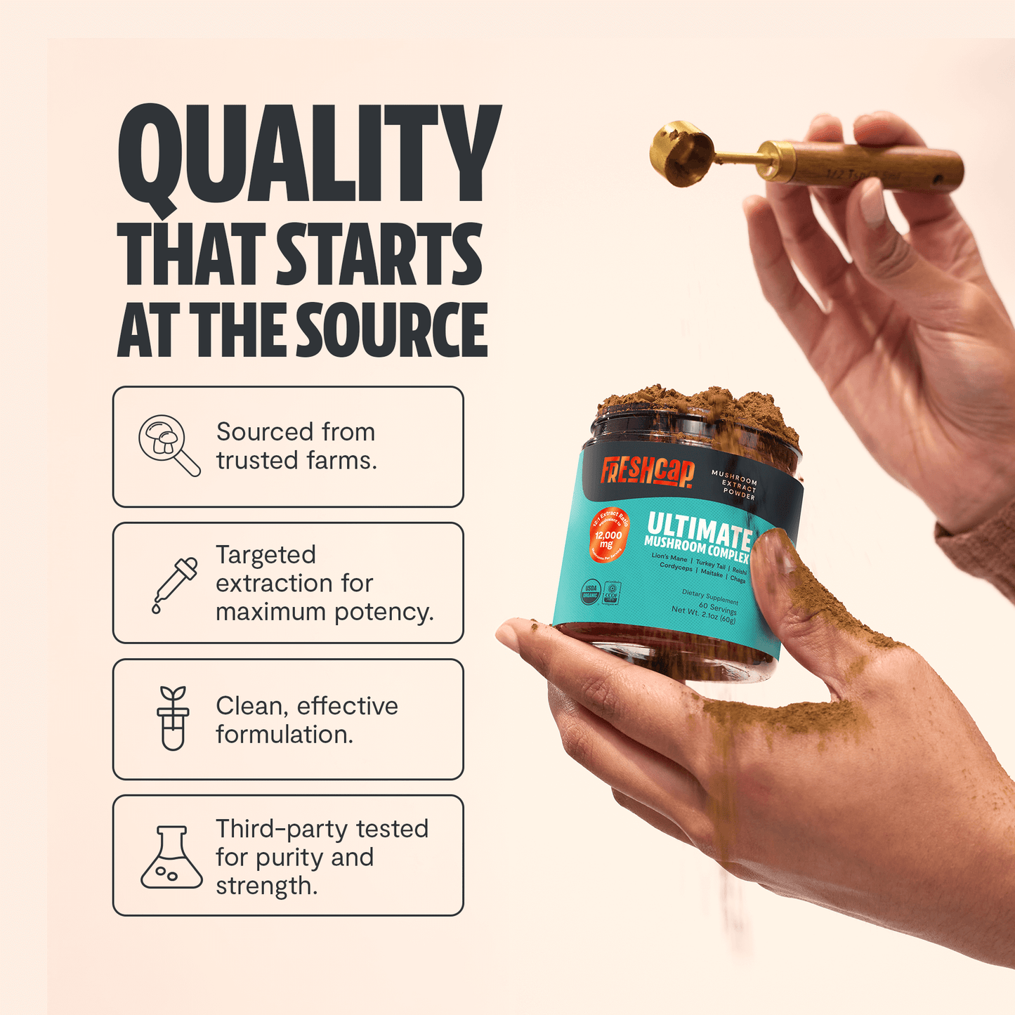 Premium mushroom blend featuring six powerful extracts for complete wellness. Our mushroom complex delivers 12,000mg raw mushroom power in versatile powder form.