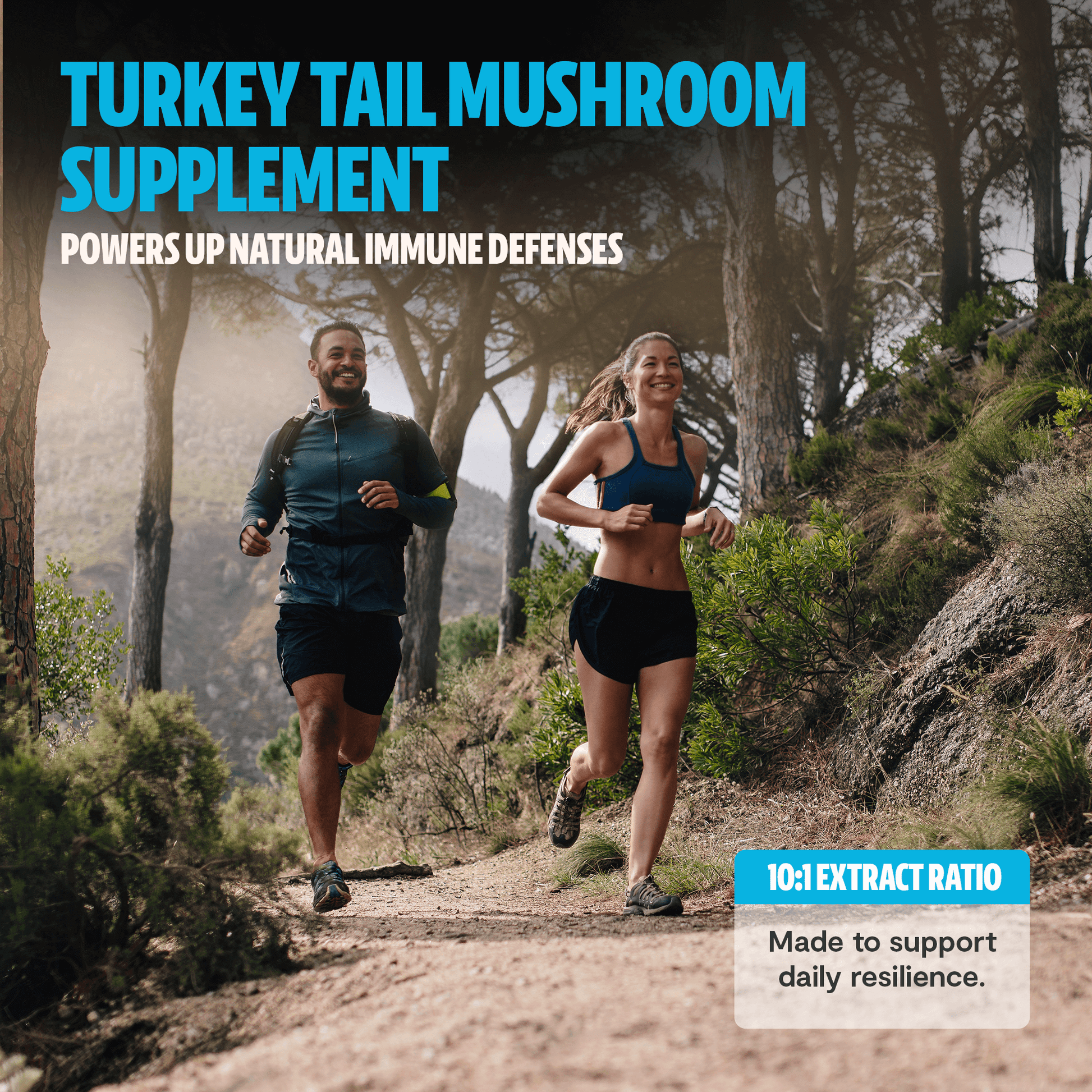 Premium Turkey Tail mushroom powder for immune and digestive support. Hot water extracted for maximum potency, delivering 10,000mg raw mushroom power in versatile powder form.
