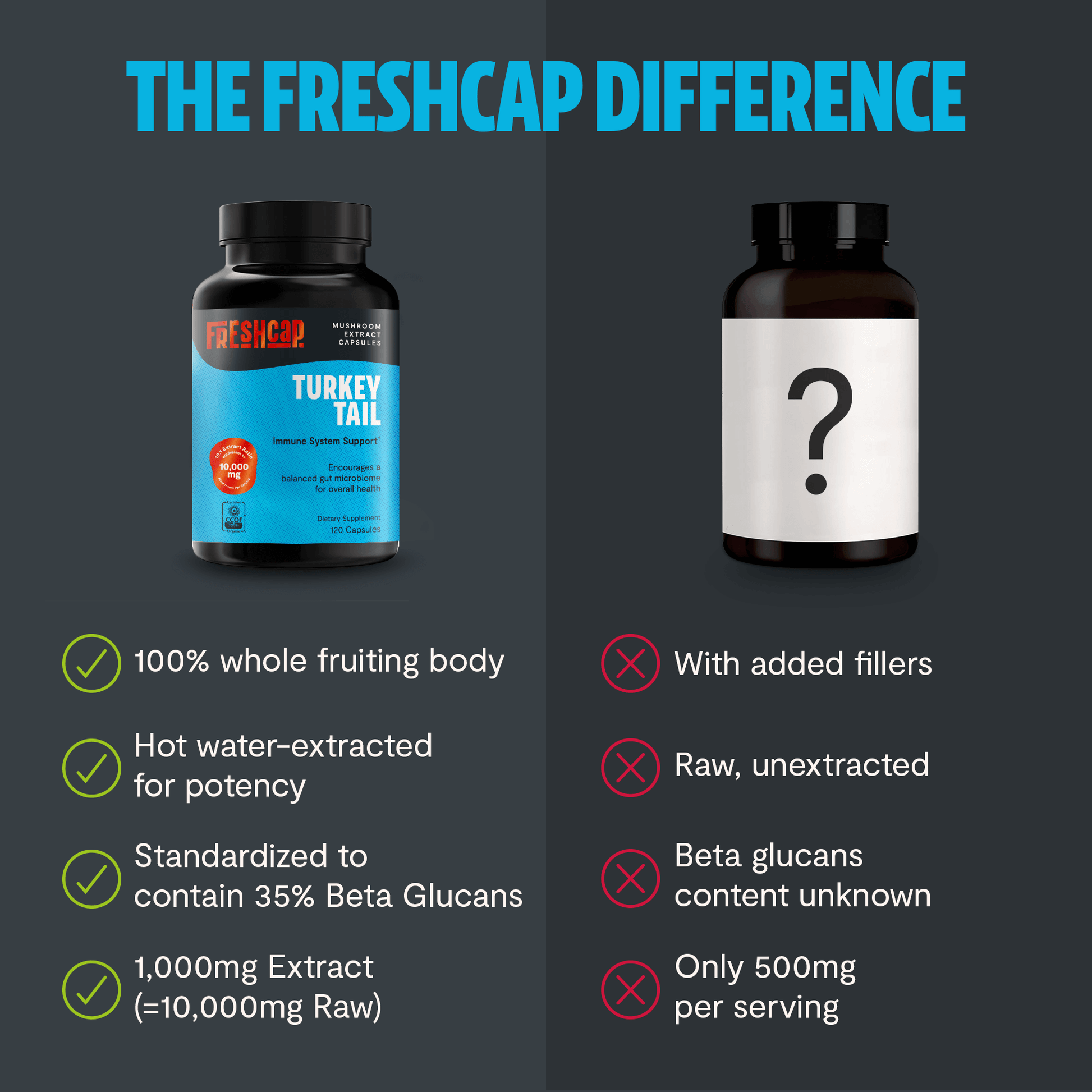 Premium turkey tail mushroom capsules for immune and digestive support. A powerful mushroom supplement extracted for maximum potency, delivering 10,000mg raw turkey tail per serving.