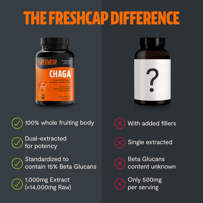 Premium Chaga mushrooms capsules for immune and antioxidant support. Dual-extracted for maximum potency, delivering 14,000mg raw mushroom power for comprehensive wellness.