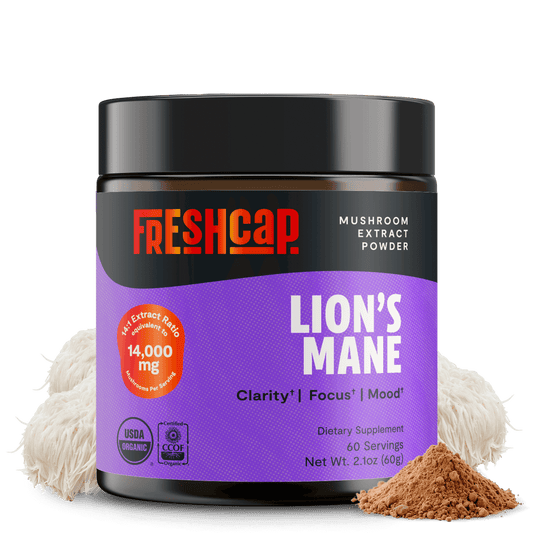 Premium Lion's Mane mushroom powder supplement for mental clarity and cognitive function. Triple-extracted for maximum potency, delivering 14,000mg raw mushroom power in versatile powder form.