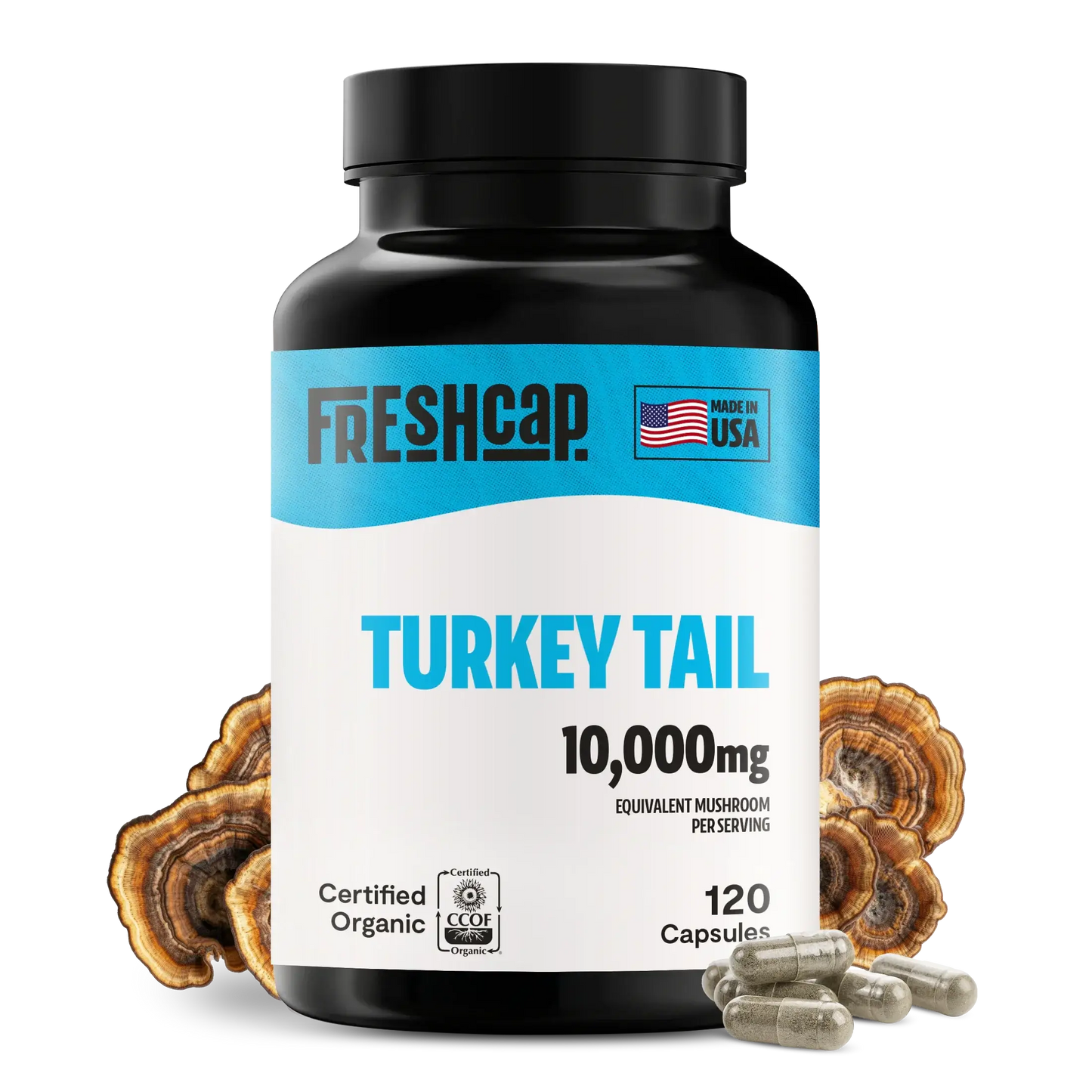 Premium turkey tail mushroom capsules for immune and digestive support. A powerful mushroom supplement extracted for maximum potency, delivering 10,000mg raw turkey tail per serving.