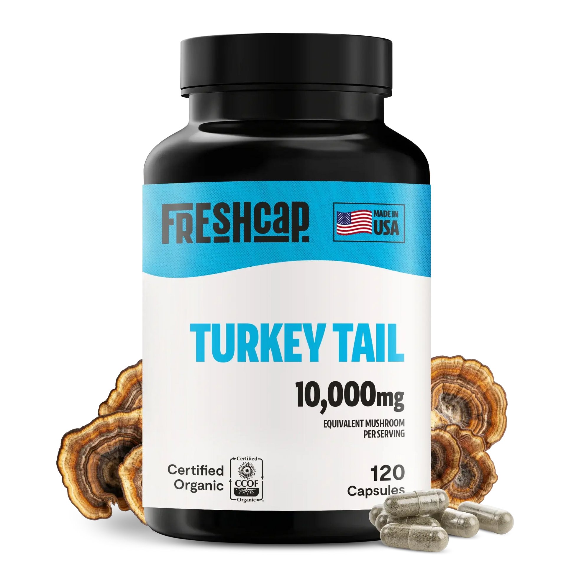 Premium turkey tail mushroom capsules for immune and digestive support. A powerful mushroom supplement extracted for maximum potency, delivering 10,000mg raw turkey tail per serving.