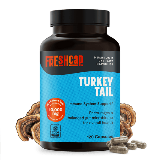 Premium turkey tail mushroom capsules for immune and digestive support. A powerful mushroom supplement extracted for maximum potency, delivering 10,000mg raw turkey tail per serving.