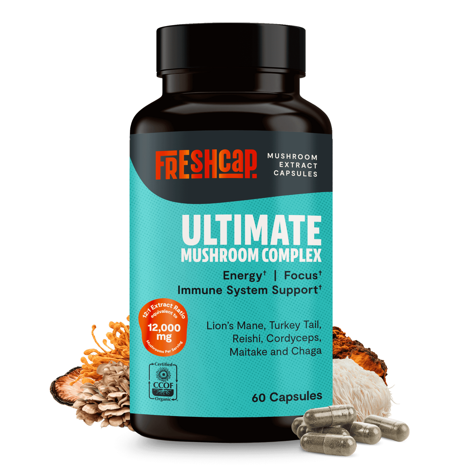 Premium blend of six powerful mushrooms for complete wellness. Quadruple-extracted mushroom supplement for maximum potency, delivering 12,000mg power for immunity, focus, and vitality.